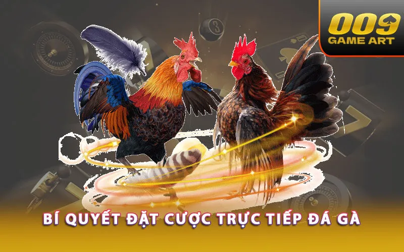 bi-quyet-dat-cuoc-truc-tiep-da-ga